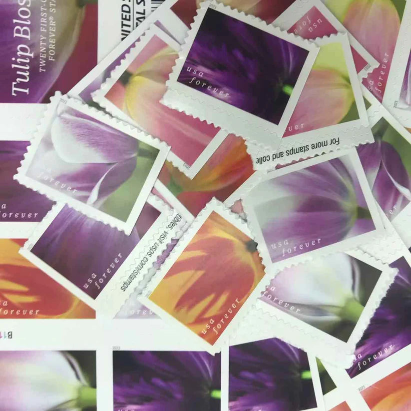 Tulips Blossom Stamps